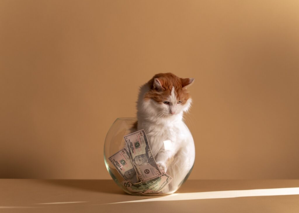 tips to save more easily
